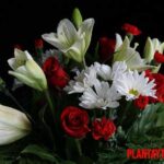 5 tipos de flores para centros de mesa que deberías usar