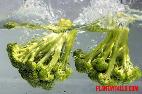 ventajas y desventajas del brócoli