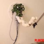 Planta logra mover un brazo robot, el proyecto Plant Machete