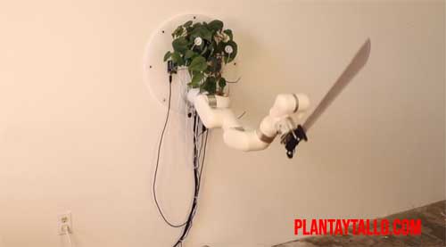 planta logra mover un brazo robot