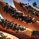 Beneficios de la papaya para tu cuerpo y otros usos que debes aprovechar