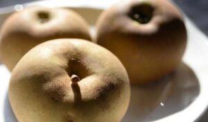 planta y tallo manzana reineta